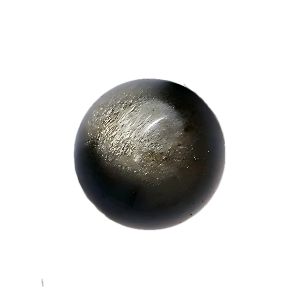 Capture One Catalog32731